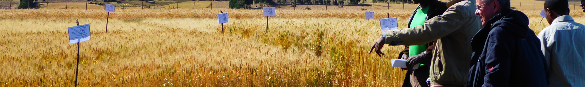 Farmers at GIZ
